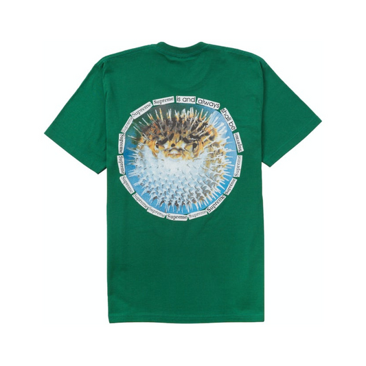 SUPREME BLOWFISH TEE GREEN